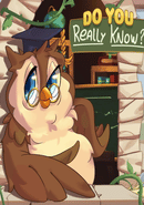 Do You Really Know? poster