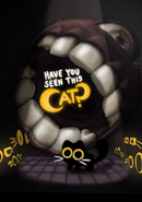 Have You Seen This Cat?