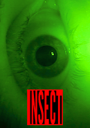 Insect poster