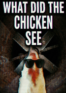 What Did the Chicken See