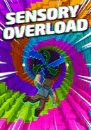 Sensory Overload