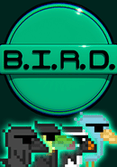 B.I.R.D. poster