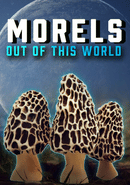 Morels: Out of this World poster