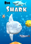 Big Shark