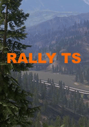 Rally TS poster