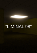 Liminal 98 poster