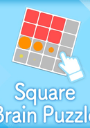 Square Brain Puzzle