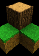 Survivalcraft