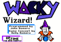 Wacky Wizard cover
