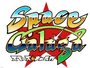 Space Galaga cover