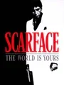 Scarface: The World Is Yours small cover