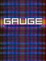 Gauge