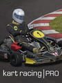 Kart Racing Pro cover