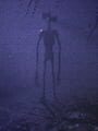 Sirenhead