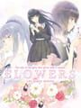 Flowers 四季