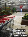 Trader Life Simulator cover