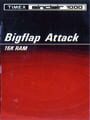 Bigflap Attack