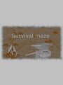 Survival Maze