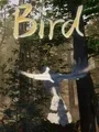 Bird cover art