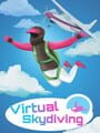 Virtual Skydiving