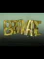 Breakage cover art
