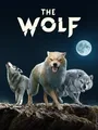 The Wolf cover art