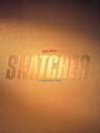 Snatcher