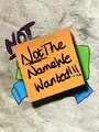NotTheNameWeWanted cover art