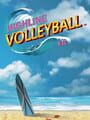 Virtua Volleyball