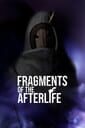 Fragments of the Afterlife