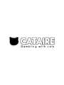 Cataire: Gambling with cats cover