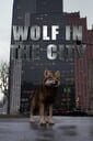 Wolf in the City