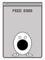 Feed Eggs