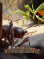 Empires of the Undergrowth poster