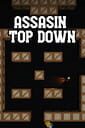 Portada de Assasin Top Down