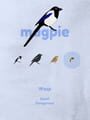 Magpie