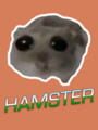 Hamster Kapak Resmi