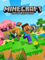 Minecraft: Java Edition poster