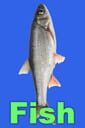 Fish cover
