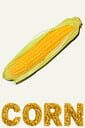 Corn cover