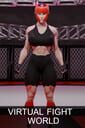 Virtual Fight World Kapak Resmi