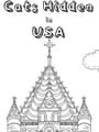 Cats Hidden in USA