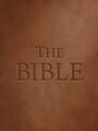 The Bible cover