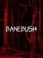 Banebush cover