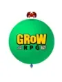 Grow RPG cover art