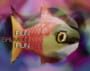 Run Salmon Run