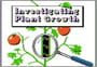 Investigating Plant Growth