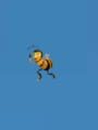 A Bee Movie Game But Every Time You Beat It It Gets Faster Kapak Resmi