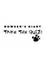 Bowser's Diary: Take the Quiz! Kapak Resmi