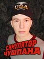 Chushpan Simulator cover